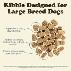 Fashion Grain Free Large Breed Adult Turkey, Salmon, Duck Recipe for dogs Food Dry, Wet, Freeze Dried, Etc.