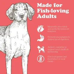Discount Grain-Free Adult Fish Recipe Dry Dog Food Food Dry, Wet, Freeze Dried, Etc.
