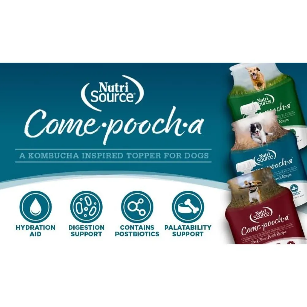 Fashion Come Pooch A Turkey Broth Supplies Leashes, Collars, Beds, Flea & Tick, Etc.