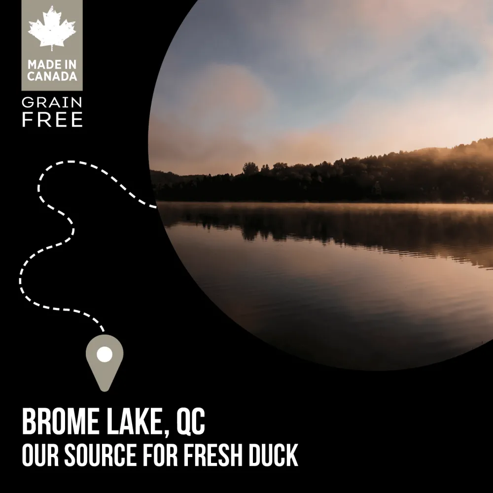 Outlet Grain Free Dog Food SubZero Northern Lakes Duck Food Dry, Wet, Freeze Dried, Etc.