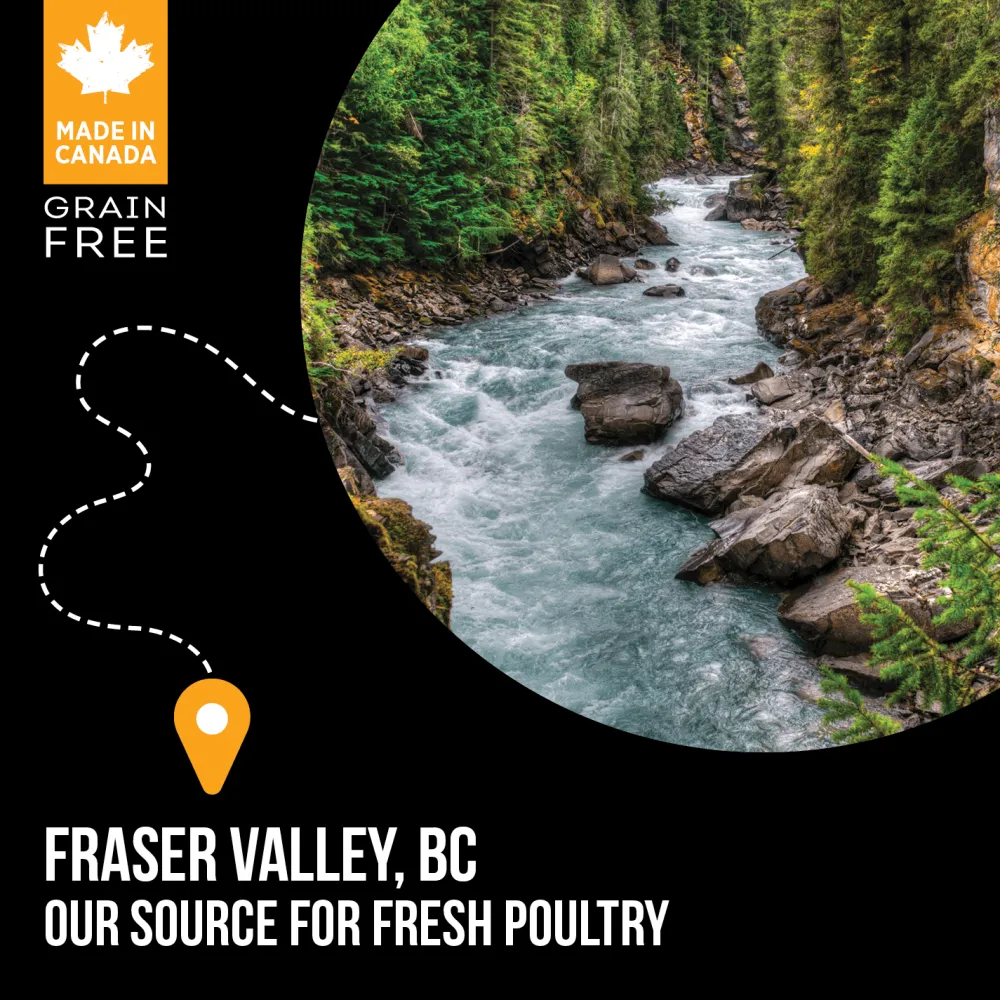 Online Grain Free Dog Food SubZero Fraser Valley Food Dry, Wet, Freeze Dried, Etc.
