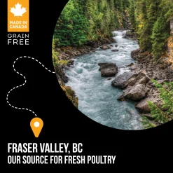 Best Grain Free Dog Food Large Breed SubZero Fraser Valley Food Dry, Wet, Freeze Dried, Etc.