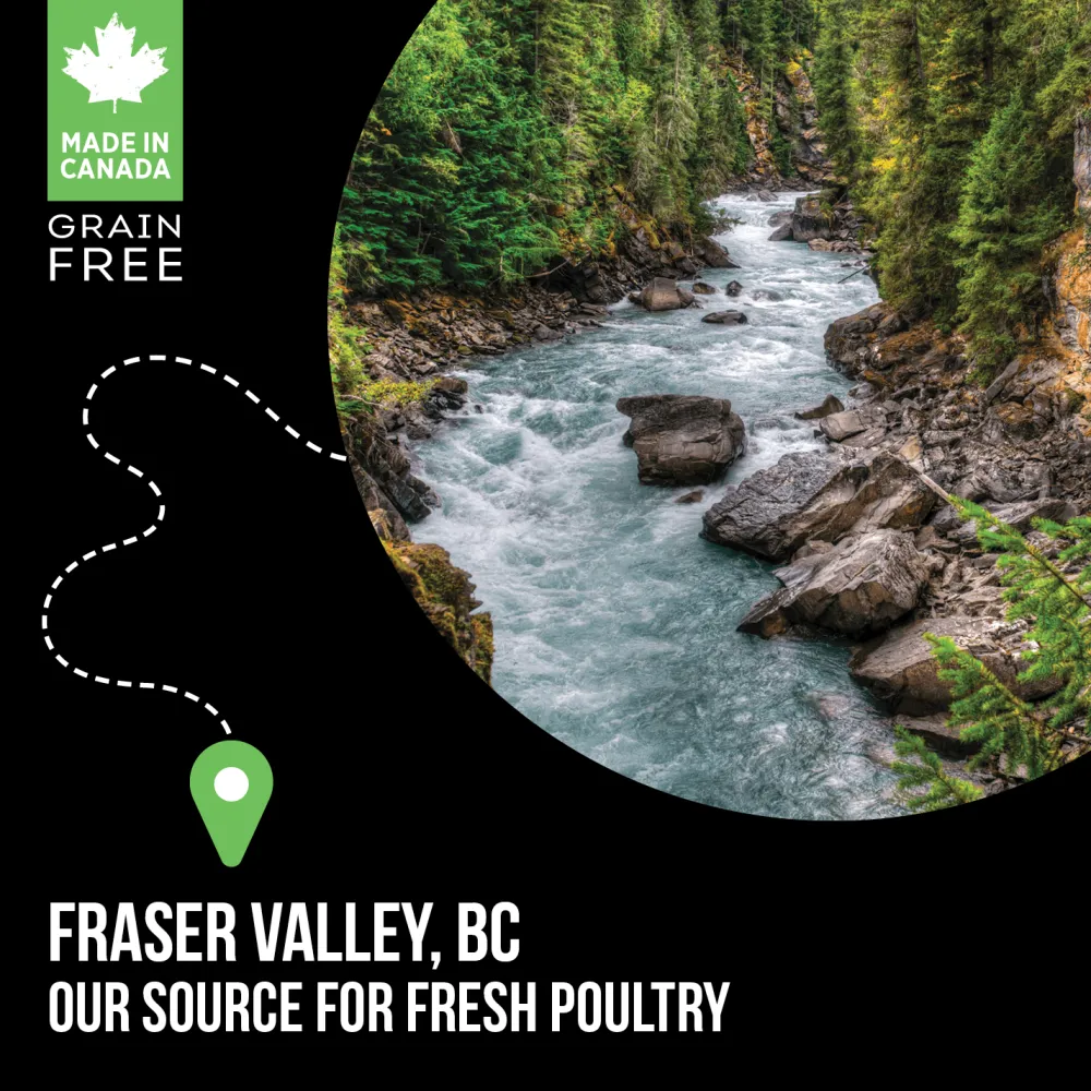 Online Grain Free Puppy Food SubZero Fraser Valley Food Dry, Wet, Freeze Dried, Etc.