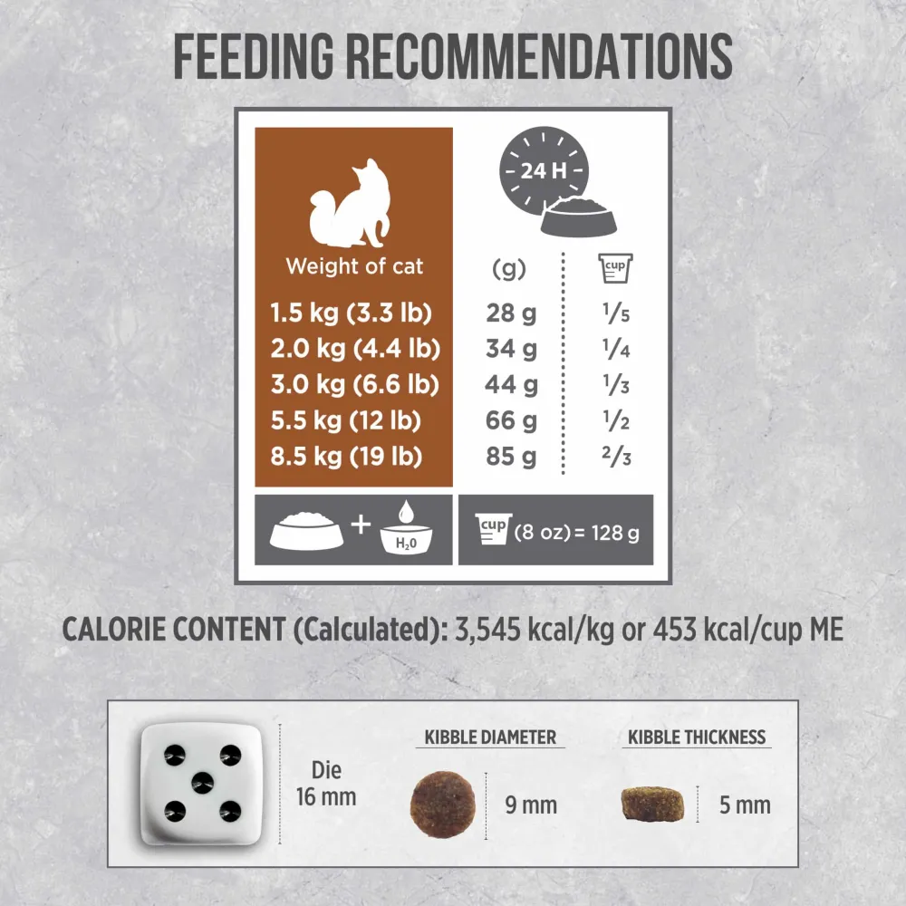 New Infusion Cat Food Healthy Senior Chicken Recipe Dry Food Dry Cat Food