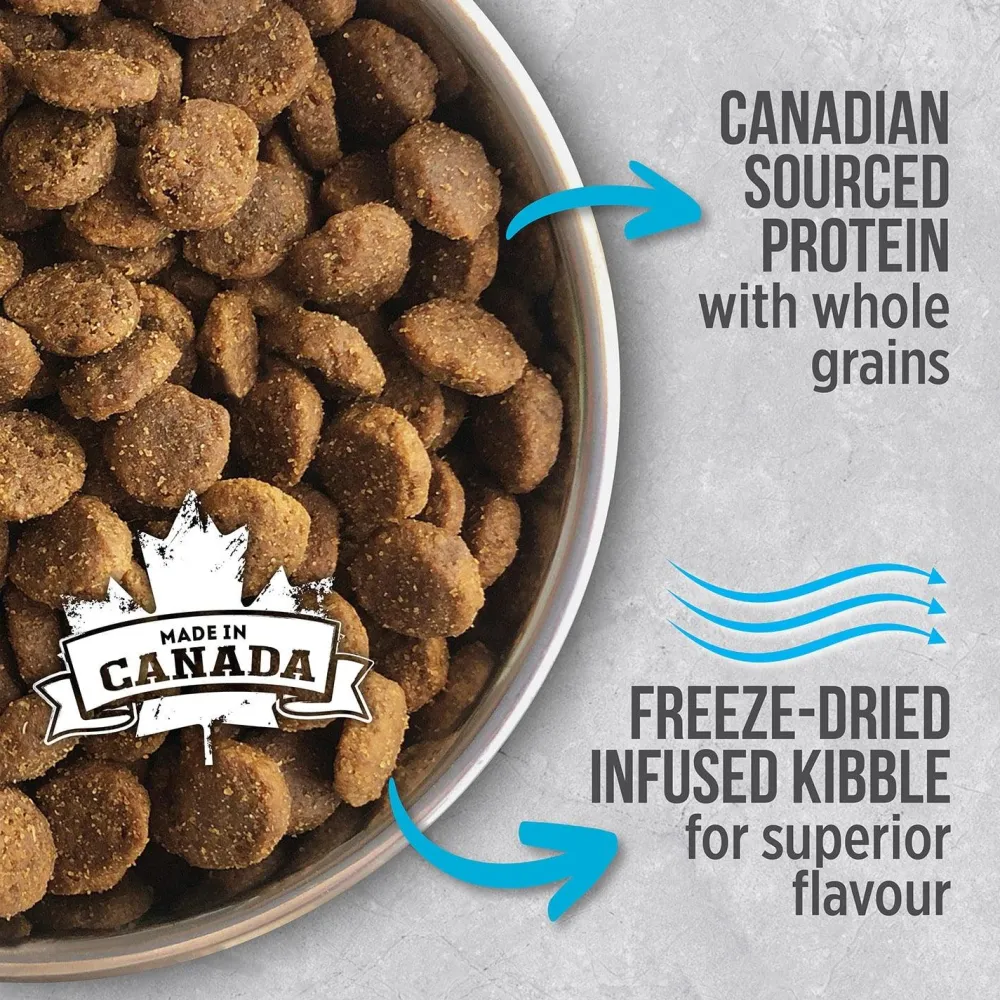 Fashion Infusion Healthy Adult Dog Ocean Fish Food Dry, Wet, Freeze Dried, Etc.