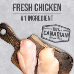 Best Infusion Healthy Puppy Chicken Food Dry, Wet, Freeze Dried, Etc.