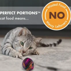 New Perfect Portions Adult Wet Cat Food Grain Free Chicken Paté Entrées Wet Food Cans, Pouches, Tetra Paks, Etc.