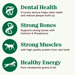 New Wholesome Essentials Dog Food Adult Lamb & Rice Food Dry, Wet, Freeze Dried, Etc.