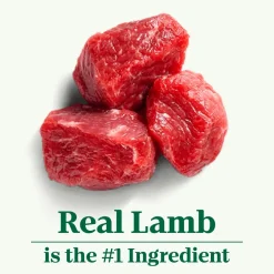 New Wholesome Essentials Dog Food Adult Lamb & Rice Food Dry, Wet, Freeze Dried, Etc.