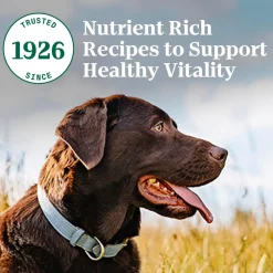 New Wholesome Essentials Dog Food Adult Lamb & Rice Food Dry, Wet, Freeze Dried, Etc.