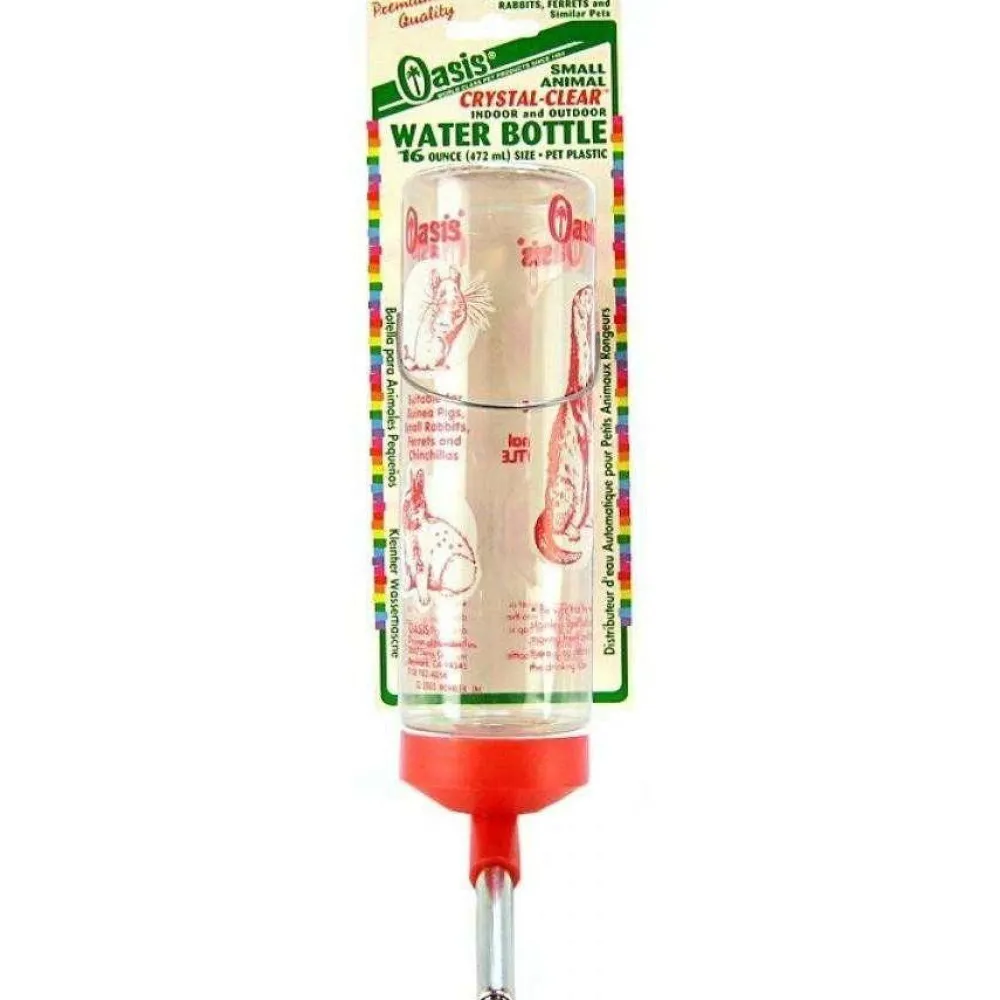 Discount Crystal Clear Water Bottle Shop Small Animal Find All Of The Essentials