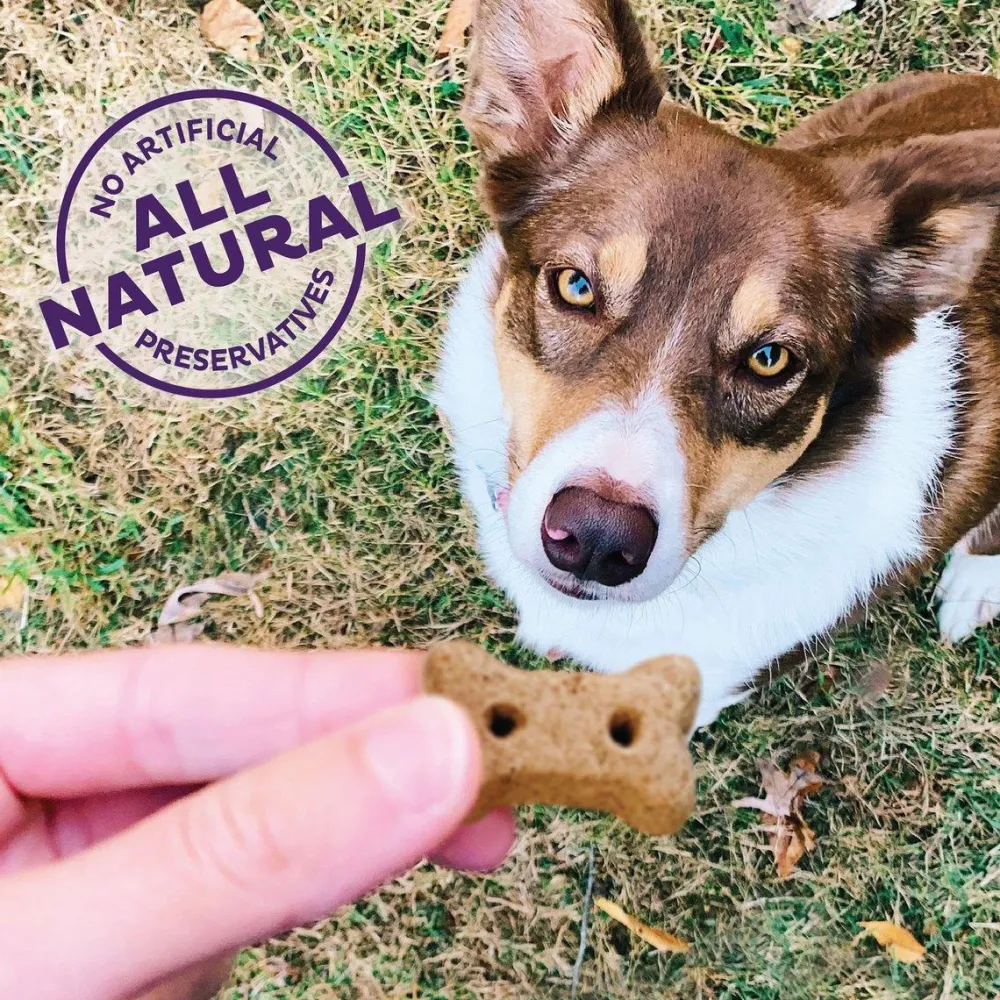 Online Classic Savory Mix Natural Mini Oven-Baked Biscuits Dog Treats Treats Treats & Chews