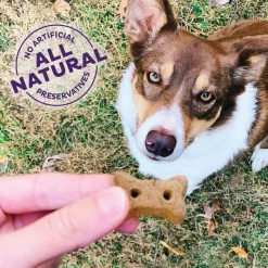New Classic Original Mix Natural Oven-Baked Biscuits Dog Treats Treats Treats & Chews