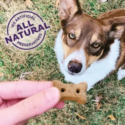 New Classic Liv'R'Crunch Natural Mini Oven-Baked Biscuits Dog Treats Treats Treats & Chews
