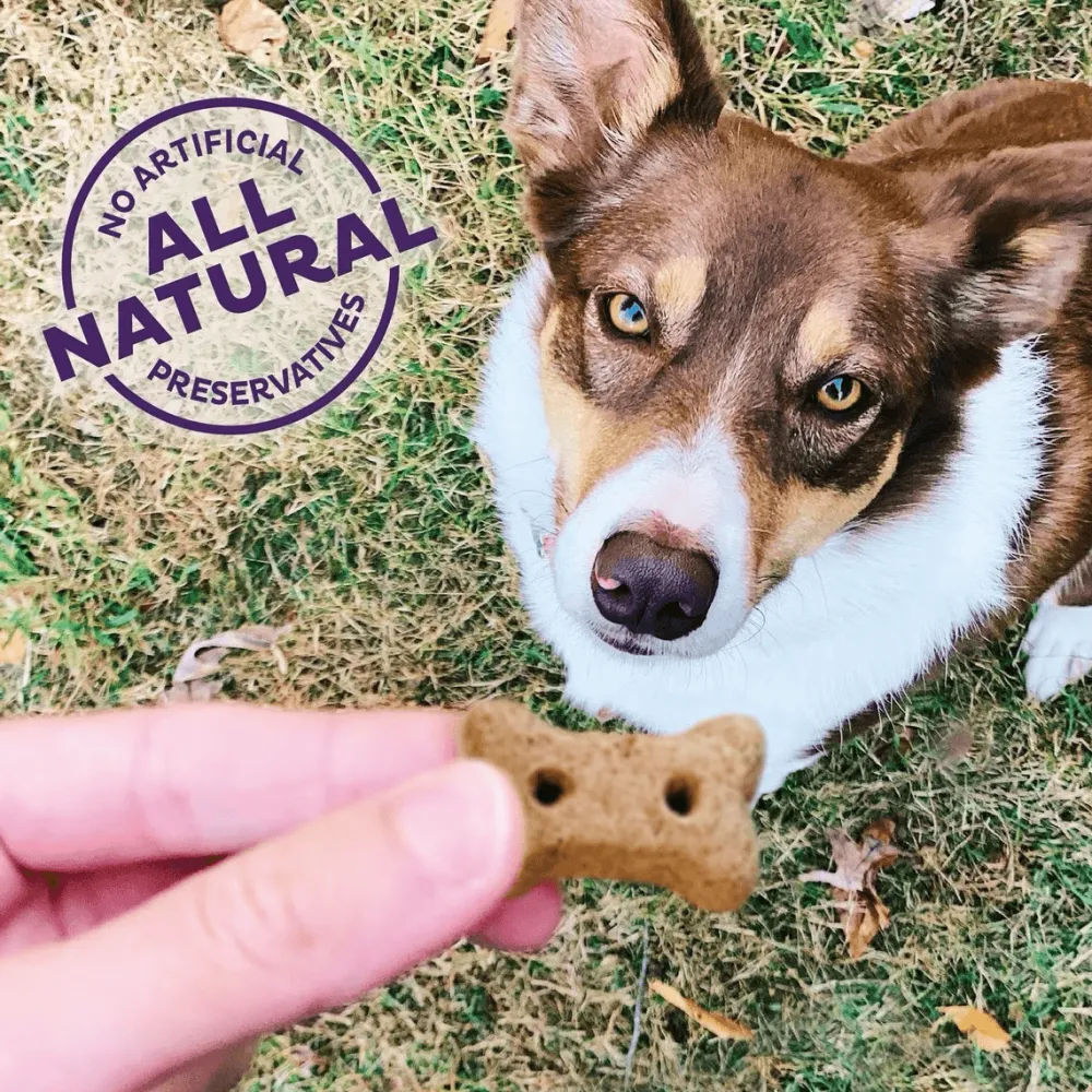 New Classic Liv'R'Crunch Natural Mini Oven-Baked Biscuits Dog Treats Treats Treats & Chews