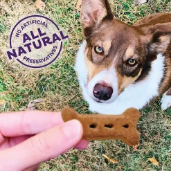 Clearance Classic P-Nuttier Natural Oven-Baked Biscuits Dog Treats Treats Treats & Chews