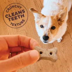 New Classic Original Mix Natural Oven-Baked Biscuits Dog Treats Treats Treats & Chews