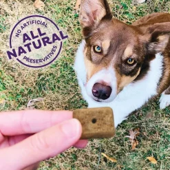 Fashion Hip & Joint Natural Oven-Baked Biscuits Dog Treats Treats Treats & Chews