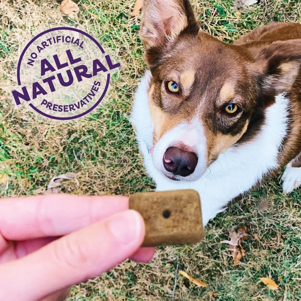 Fashion Hip & Joint Natural Oven-Baked Biscuits Dog Treats Treats Treats & Chews