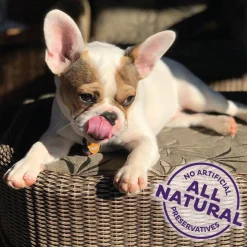 Best Training Bitz Assorted Mix Natural Oven-Baked Biscuits Dog Treats Treats Treats & Chews