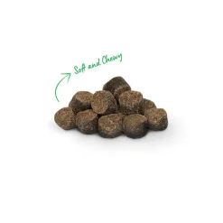 Clearance Be Good Bites Grass-Fed Beef Dog Treats Treats Treats & Chews