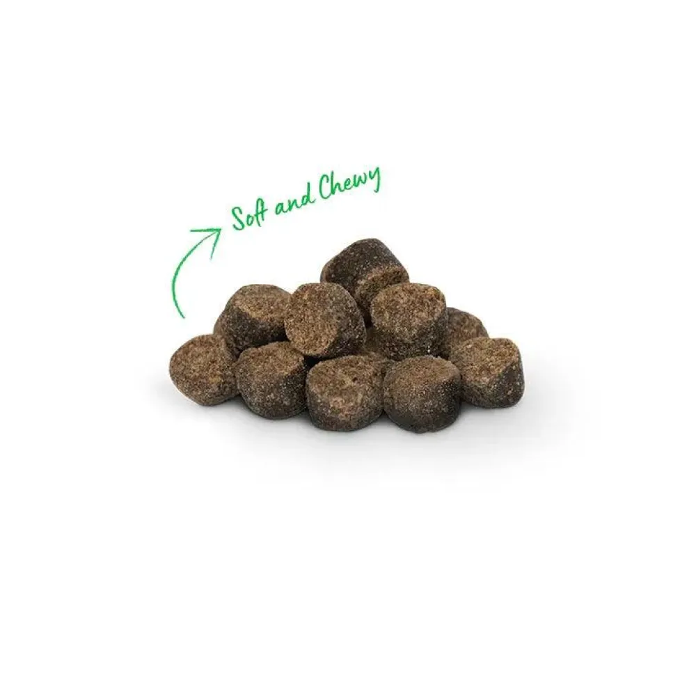 Clearance Be Good Bites Turkey Dog Treats Treats Treats & Chews