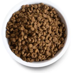 Best Cat Food Wild Caught Salmon Dry Food Dry Cat Food