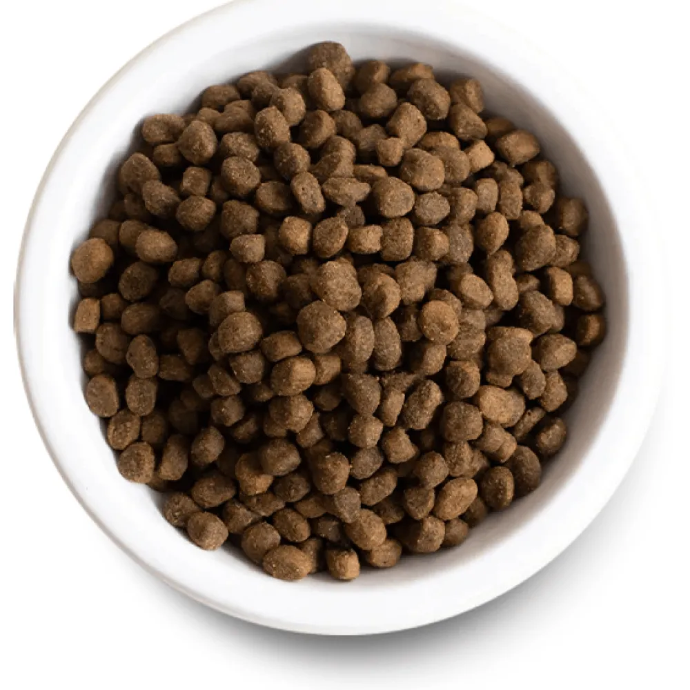 Fashion Dog Food Grass Fed Beef & Ancient Grains Food Dry, Wet, Freeze Dried, Etc.