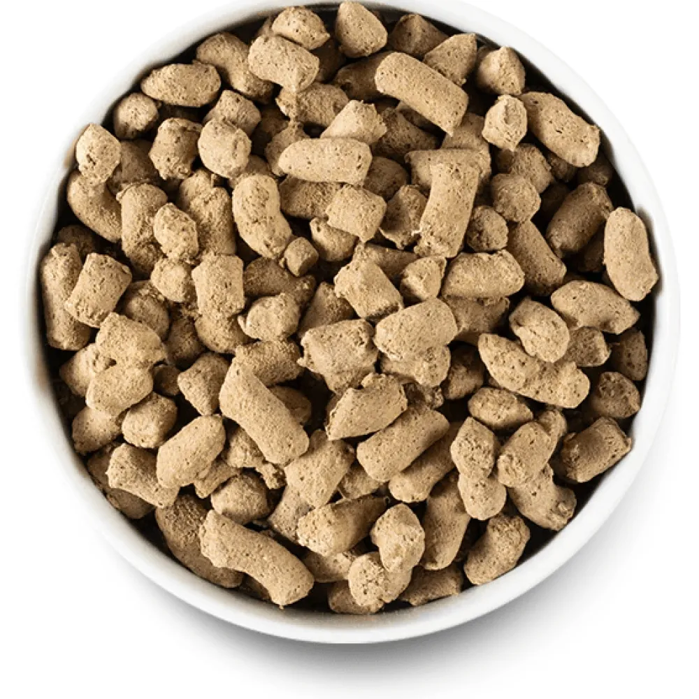 Fashion Dog Food Grass Fed Beef Freeze Dried Raw Food Dry, Wet, Freeze Dried, Etc.