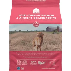 Best Dog Food Wild-Caught Salmon & Ancient Grains Food Dry, Wet, Freeze Dried, Etc.