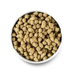 Outlet Dog Freeze Dried Raw Puppy Chicken & Salmon Food Dry, Wet, Freeze Dried, Etc.