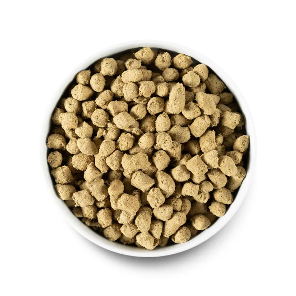 Outlet Dog Freeze Dried Raw Puppy Chicken & Salmon Food Dry, Wet, Freeze Dried, Etc.