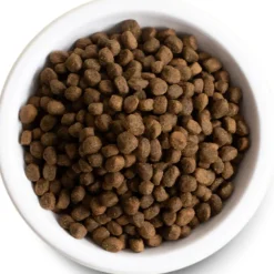 Fashion Dog Puppy Salmon & Sweet Potato Food Dry, Wet, Freeze Dried, Etc.