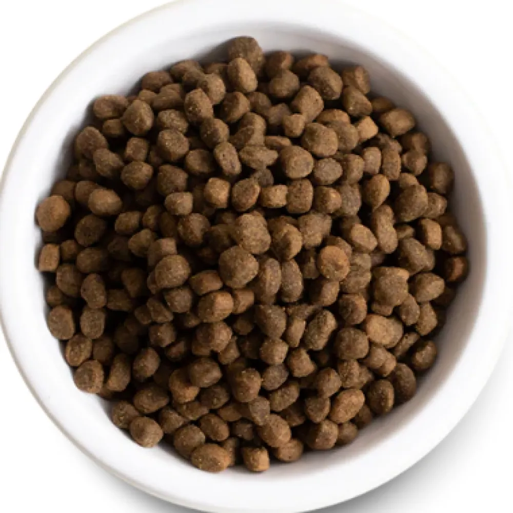 Fashion Dog Puppy Salmon & Sweet Potato Food Dry, Wet, Freeze Dried, Etc.