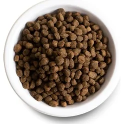 Outlet Dog Puppy Salmon & Ancient Grains Food Dry, Wet, Freeze Dried, Etc.