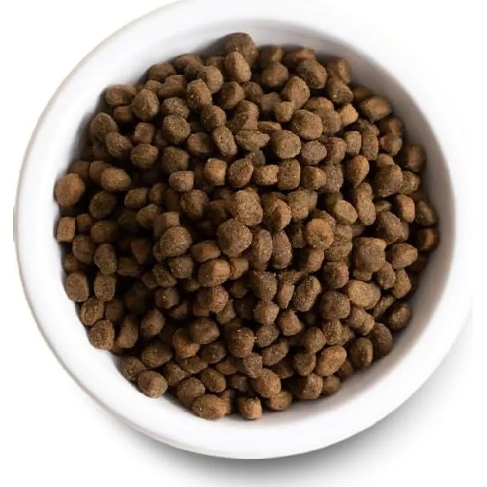 Outlet Dog Puppy Salmon & Ancient Grains Food Dry, Wet, Freeze Dried, Etc.