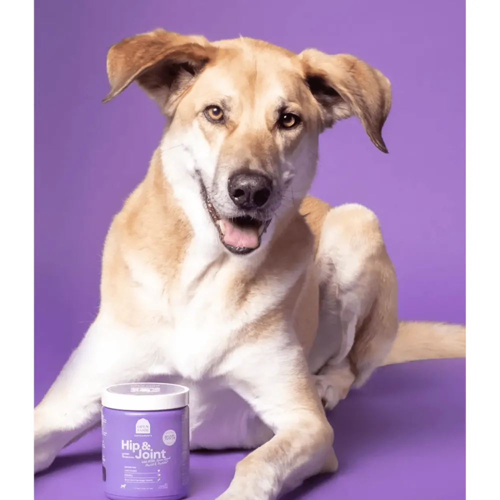 Discount Dog Supplement Hip & Joint Chews Supplies Leashes, Collars, Beds, Flea & Tick, Etc.