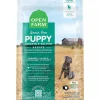 Best Puppy Dry Dog Food Chicken & Salmon Recipe Food Dry, Wet, Freeze Dried, Etc.
