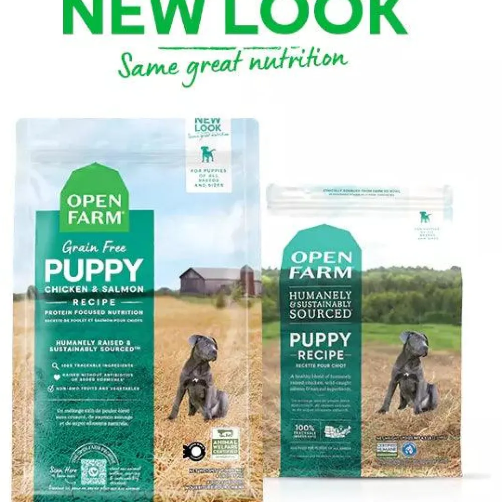 Best Puppy Dry Dog Food Chicken & Salmon Recipe Food Dry, Wet, Freeze Dried, Etc.