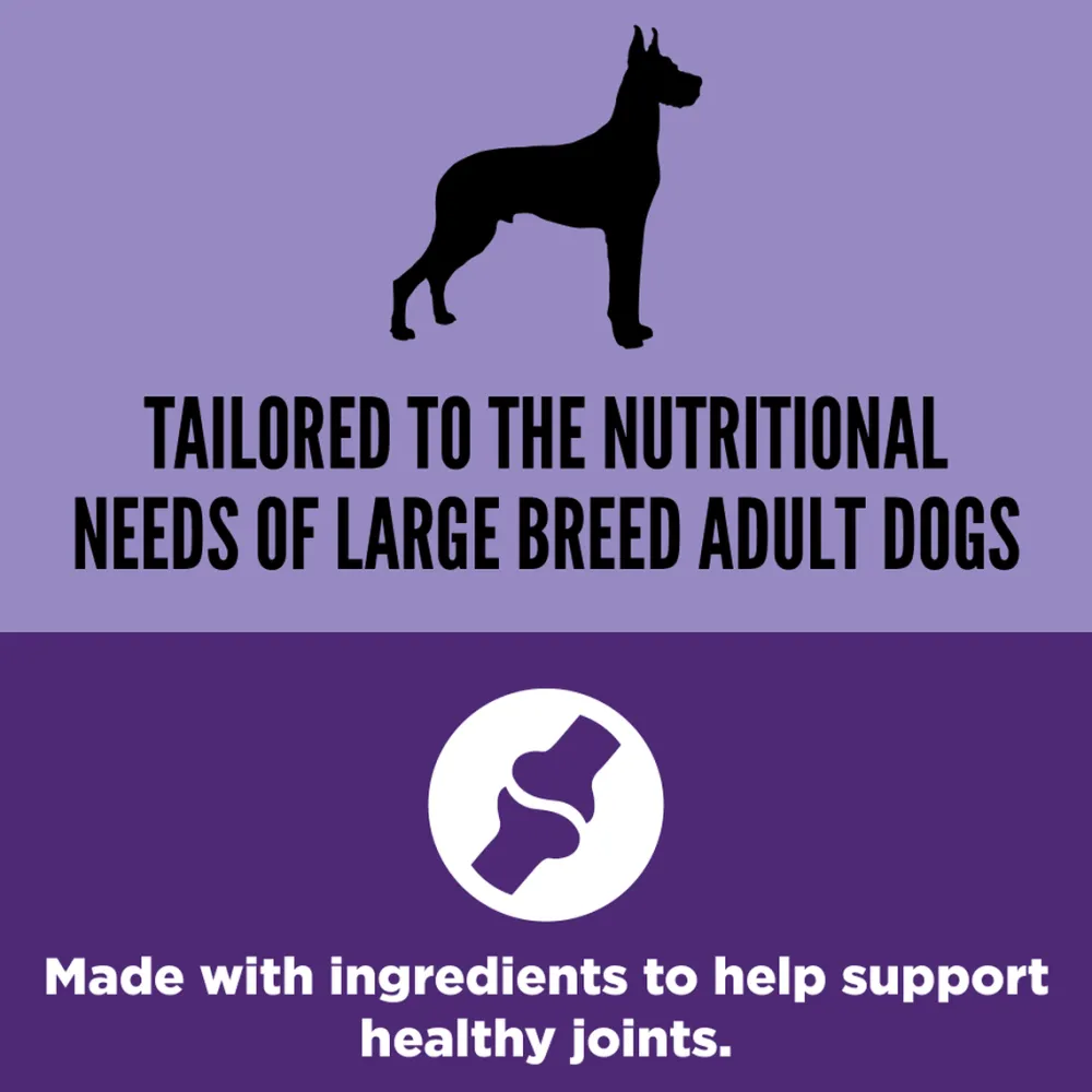 Fashion Dog Adult Large Breed Food Dry, Wet, Freeze Dried, Etc.
