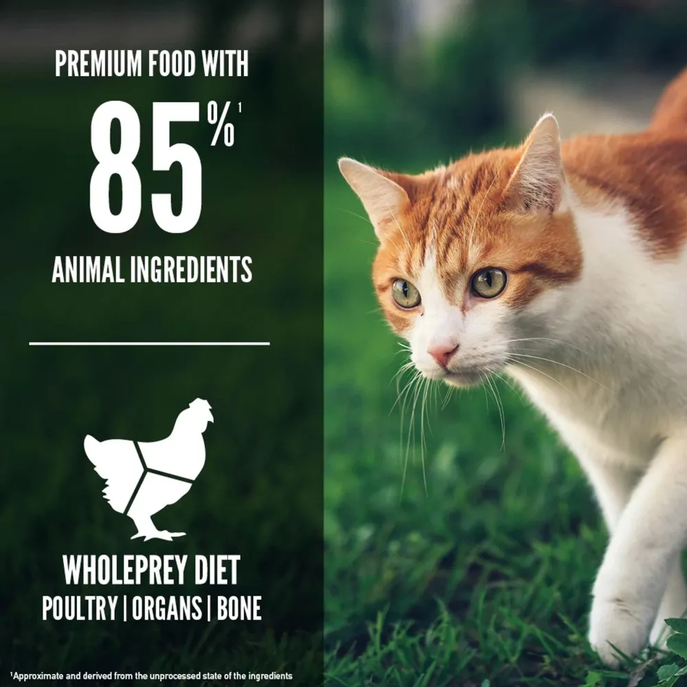 Fashion Fit & Trim Dry Cat Food Recipe Dry Food Dry Cat Food