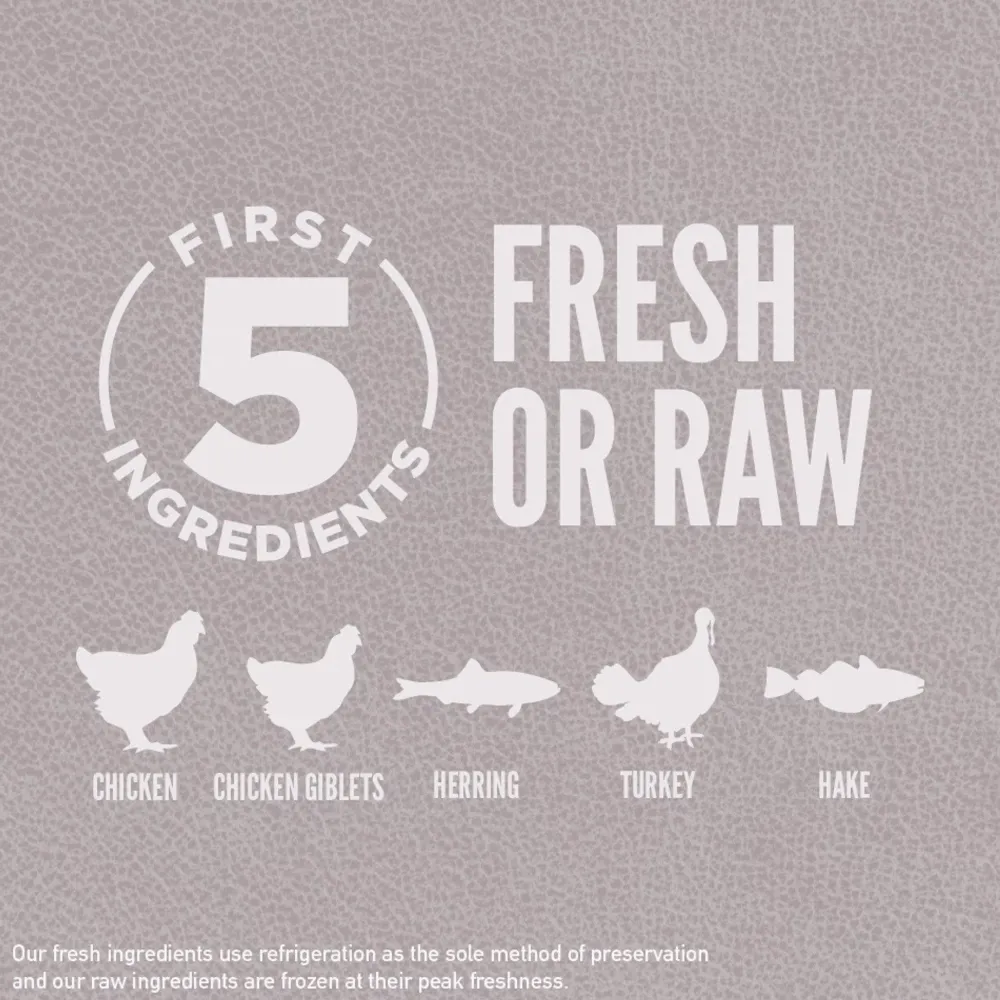 Fashion Fit & Trim Dry Cat Food Recipe Dry Food Dry Cat Food