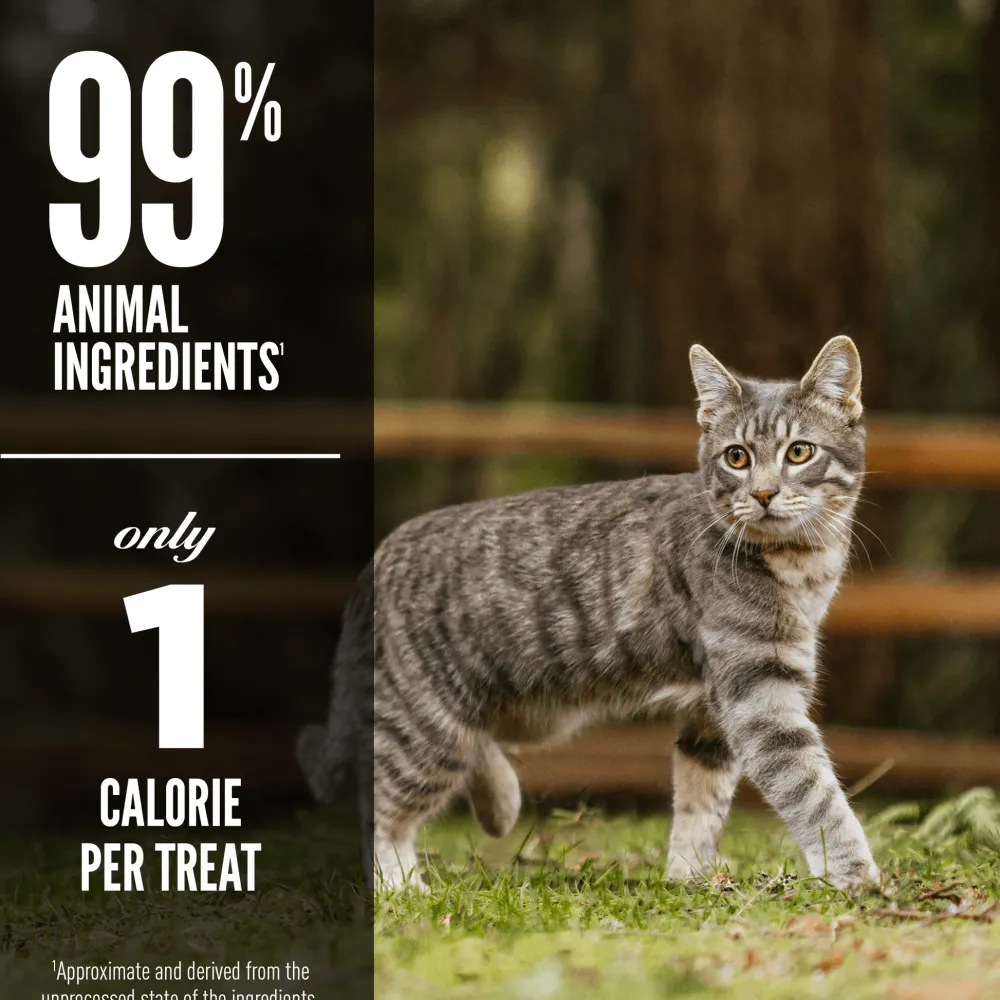Clearance Freeze-Dried Cat Treats Tundra Dry Food Dry Cat Food