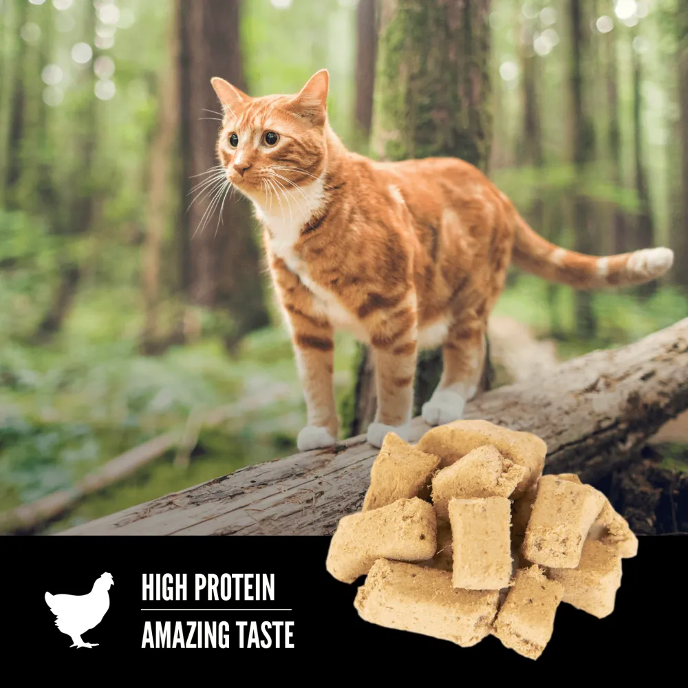 Clearance Freeze-Dried Cat Treats Original Dry Food Dry Cat Food