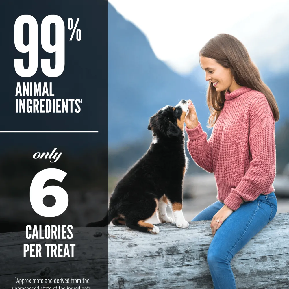 Fashion Freeze-Dried Dog Treats Free-Run Duck Formula Treats Treats & Chews