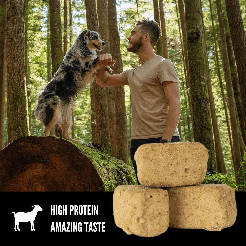 Fashion Freeze-Dried Dog Treats Tundra Treats Treats & Chews