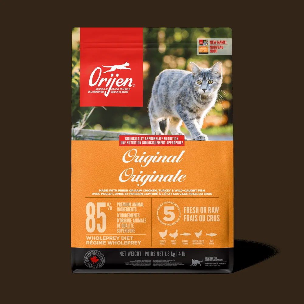 Best Original Cat Food Recipe Dry Food Dry Cat Food