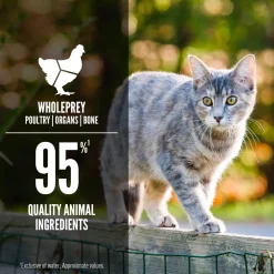 Best Original Entrée Wet Cat Food Recipe Wet Food Cans, Pouches, Tetra Paks, Etc.