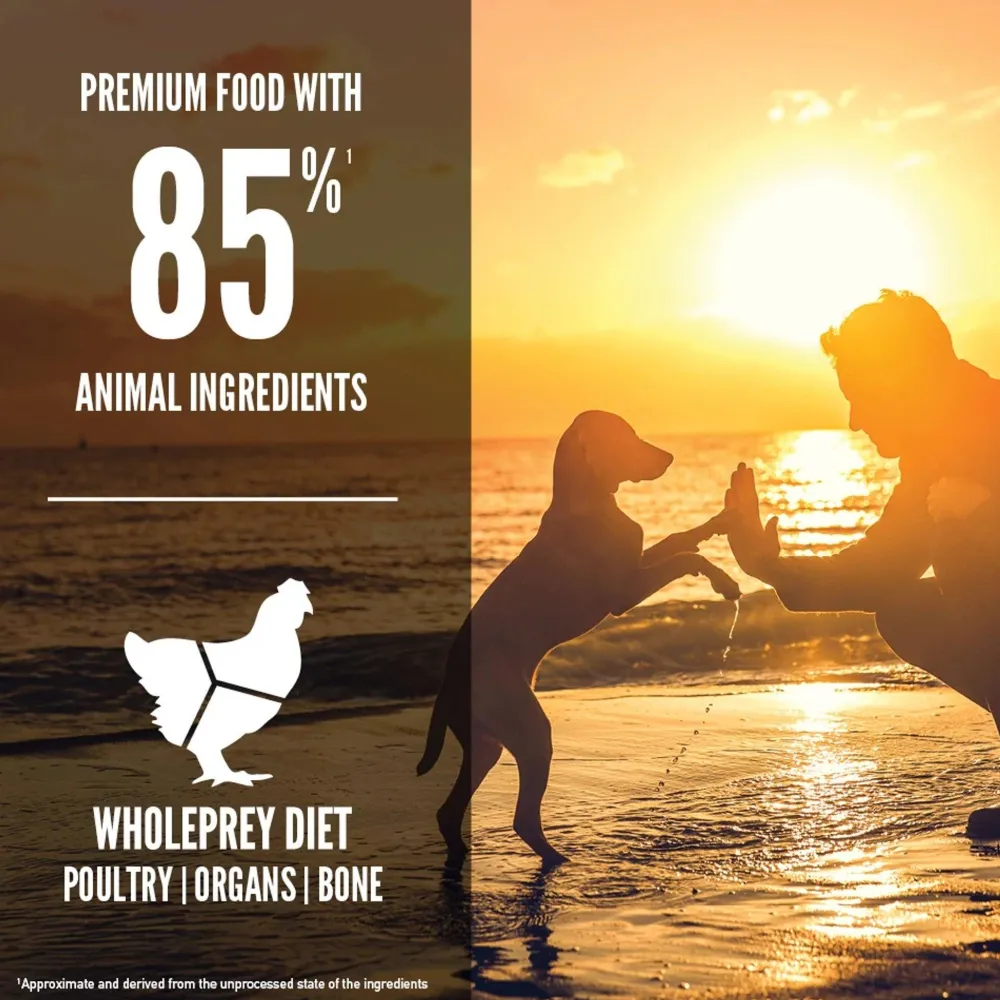 Fashion Puppy Dry Food Food Dry, Wet, Freeze Dried, Etc.