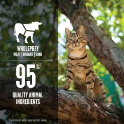 Sale Regional Red Entrée Wet Cat Food Recipe Wet Food Cans, Pouches, Tetra Paks, Etc.